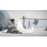 Never Alone + Foxtales DLC Steam Kod Klucz