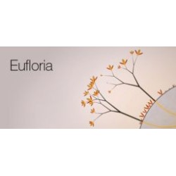 Eufloria Steam Kod Klucz