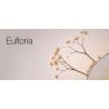 Eufloria Steam Kod Klucz