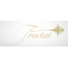 Fractal  Make Blooms Not War Steam Kod Klucz