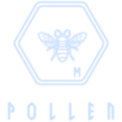 P·O·L·L·E·N Steam Kod Klucz