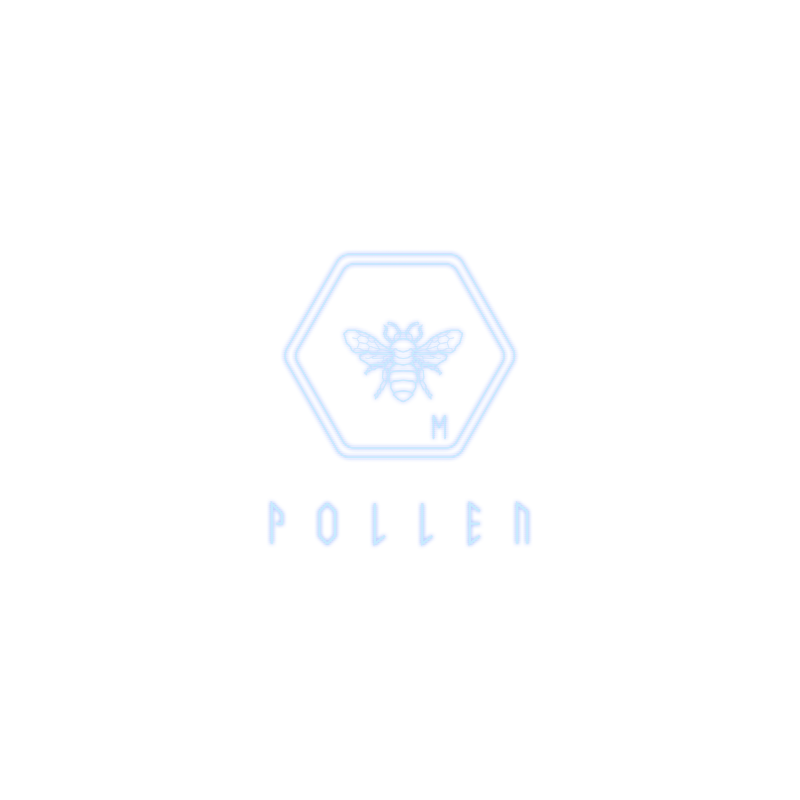 P·O·L·L·E·N Steam Kod Klucz