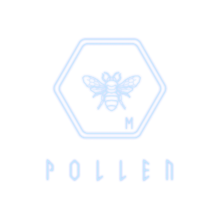 P·O·L·L·E·N Steam Kod Klucz