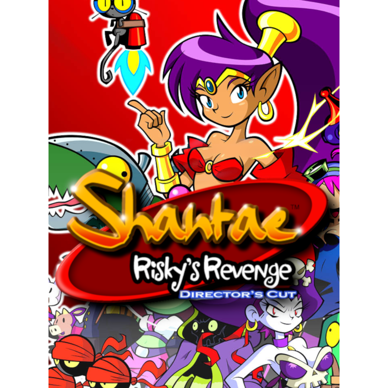 Shantae  Risky’s Revenge Director’s Cut Steam Kod Klucz