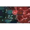 Particle Fleet  Emergence Steam Kod Klucz