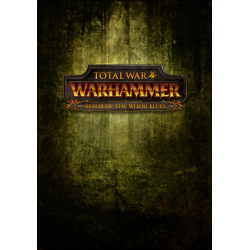 Total War  Warhammer   Realm of The Wood Elves DLC PC Steam Kod Klucz