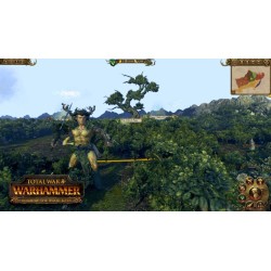 Total War  Warhammer   Realm of The Wood Elves DLC PC Steam Kod Klucz