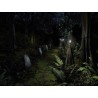 Barrow Hill  Curse of the Ancient Circle Steam Kod Klucz