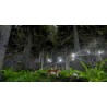Survivalizm   The Animal Simulator Steam Kod Klucz