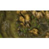 Knights and Merchants Steam Kod Klucz
