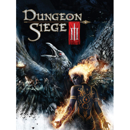 Dungeon Siege III PC Steam Kod Klucz