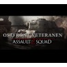 Men of War  Assault Squad 2   Ostfront Veteranen DLC PC Steam Kod Klucz