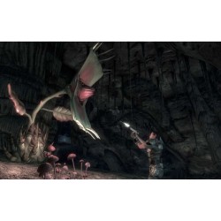 Fallout  New Vegas PC Steam Kod Klucz