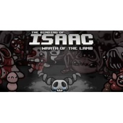 The Binding of Isaac + Wrath of the Lamb DLC PC Steam Kod Klucz