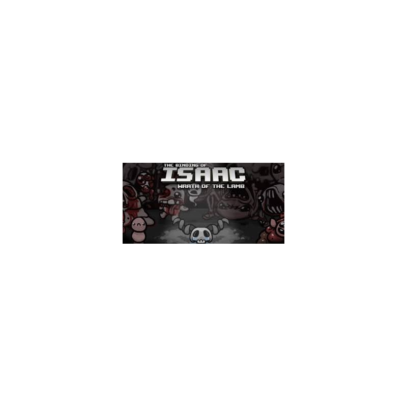 The Binding of Isaac + Wrath of the Lamb DLC PC Steam Kod Klucz