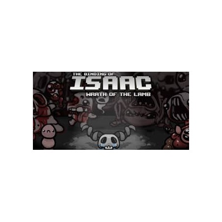 The Binding of Isaac + Wrath of the Lamb DLC PC Steam Kod Klucz