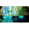 Ori and the Blind Forest  Definitive Edition   XBOX One Kod Klucz