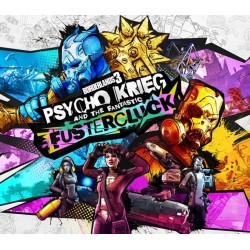Borderlands 3   Psycho Krieg and the Fantastic Fustercluck DLC   Epic Games Kod Klucz
