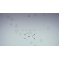 Circuits PC Steam Kod Klucz