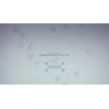 Circuits PC Steam Kod Klucz