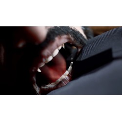 Vampire  The Masquerade   Swansong   Epic Games Kod Klucz 