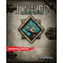 Icewind Dale  Enhanced Edition Steam Kod Klucz