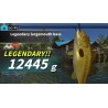 Legendary Fishing   Nintendo Switch Kod Klucz