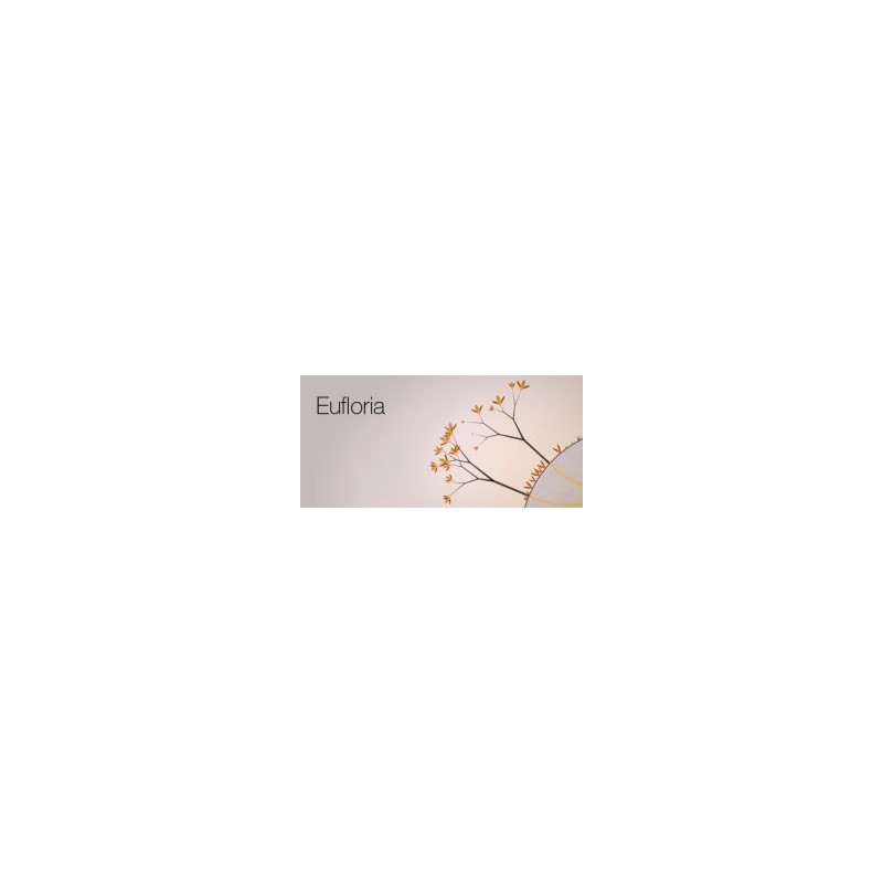Eufloria HD Steam Kod Klucz