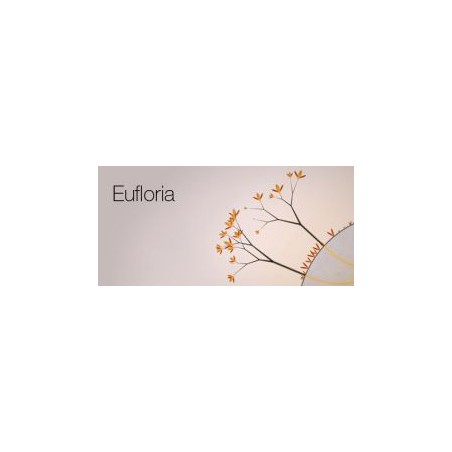 Eufloria HD Steam Kod Klucz