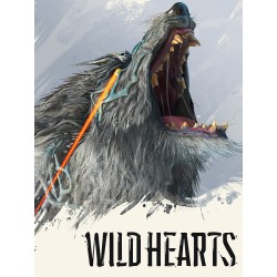 WILD HEARTS  EA Kod Klucz