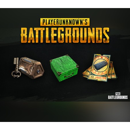 PUBG Battlegrounds   2024 Exclusive Survivor Pack  2 DLC XBOX One / Xbox Series X|S Kod Klucz