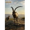 theHunter  Call of the Wild   Cuatro Colinas Game Reserve DLC   PC Steam Kod Klucz