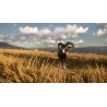 theHunter  Call of the Wild   Cuatro Colinas Game Reserve DLC   PC Steam Kod Klucz