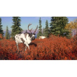 theHunter  Call of the Wild   Yukon Valley DLC   PC Steam Kod Klucz