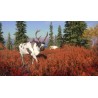 theHunter  Call of the Wild   Yukon Valley DLC   PC Steam Kod Klucz