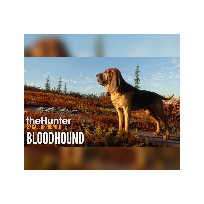 theHunter  Call of the Wild   Bloodhound DLC   PC Steam Kod Klucz