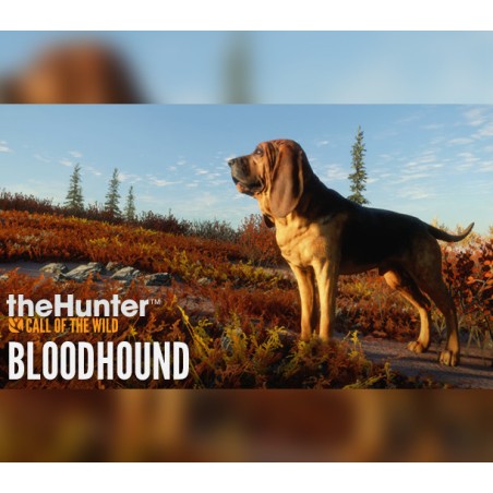 theHunter  Call of the Wild   Bloodhound DLC   PC Steam Kod Klucz