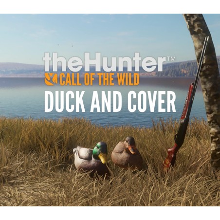 theHunter  Call of the Wild   Duck and Cover Pack DLC   PC Steam Kod Klucz