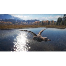 theHunter  Call of the Wild   Duck and Cover Pack DLC   PC Steam Kod Klucz