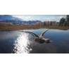 theHunter  Call of the Wild   Duck and Cover Pack DLC   PC Steam Kod Klucz