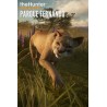 theHunter  Call of the Wild   Parque Fernando DLC   PC Steam Kod Klucz