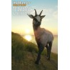theHunter  Call of the Wild   Te Awaroa National Park DLC   PC Steam Kod Klucz