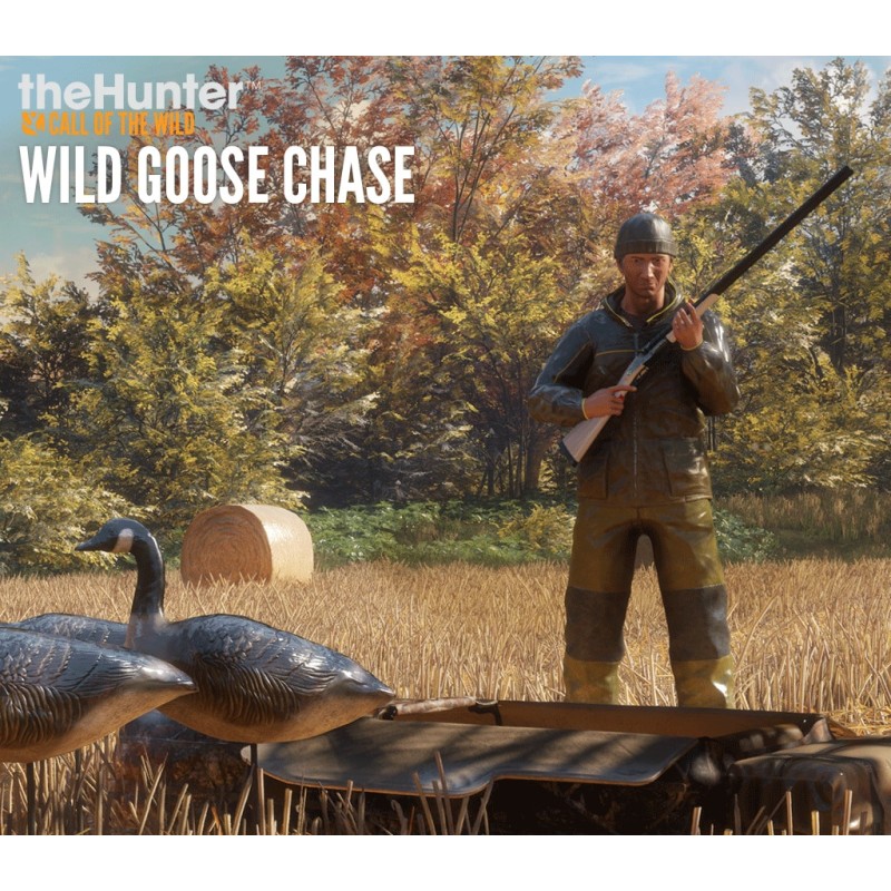 theHunter  Call of the Wild   Wild Goose Chase Gear DLC   PC Steam Kod Klucz
