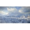 theHunter  Call of the Wild   Medved Taiga DLC   PC Steam Kod Klucz
