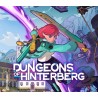 Dungeons of Hinterberg Xbox Series X|S Kod Klucz