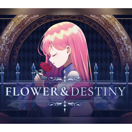 Sixtar Gate  STARTRAIL   Flower and Destiny Pack DLC PC Steam Kod Klucz