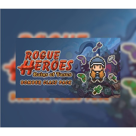 Rogue Heroes  Bomber Class Pack DLC PC Steam Kod Klucz