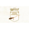 Harry Potter  Quidditch Champions   Pre order Bonus DLC   Nintendo Switch Kod Klucz