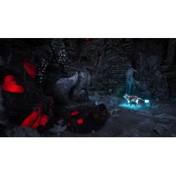 Spirit of the North  Enhanced Edition   Xbox Series X|S / PC Kod Klucz