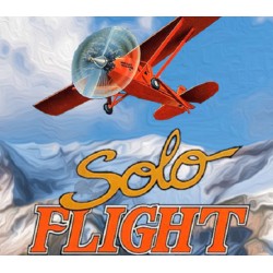 Solo Flight PC GOG Kod Klucz